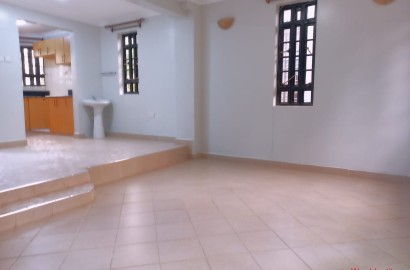 Luxurious Mansionette in Lavington