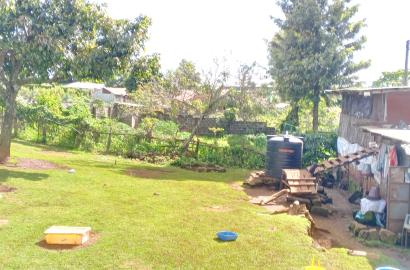 Prime Commercial/ Residential Plot