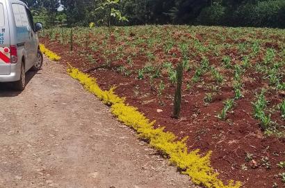 LAND FOR SALE