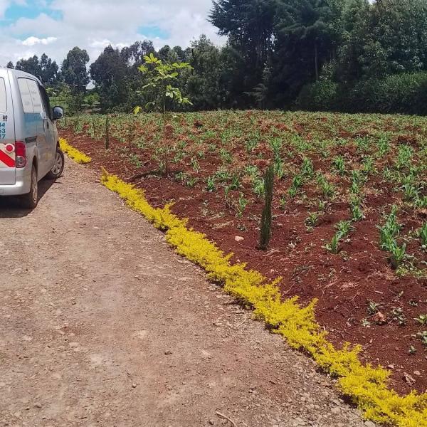 LAND FOR SALE