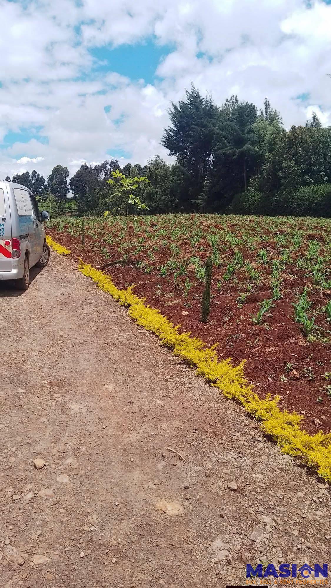 LAND FOR SALE