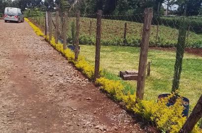 LAND FOR SALE