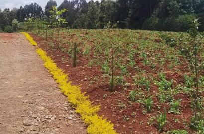 LAND FOR SALE