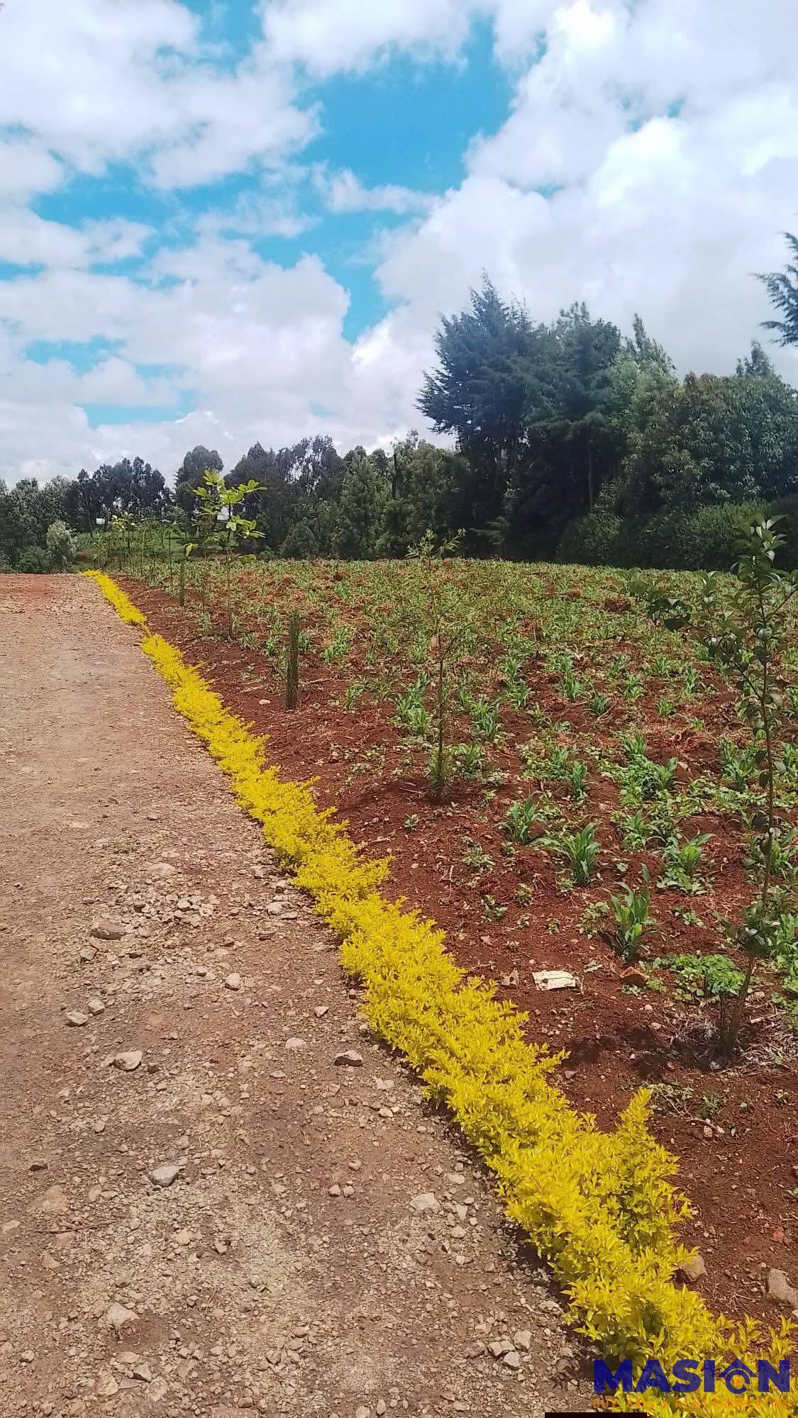 LAND FOR SALE
