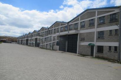 Dandora Neighbourhood Guide: Affordable Living in Nairobi’s Eastlands