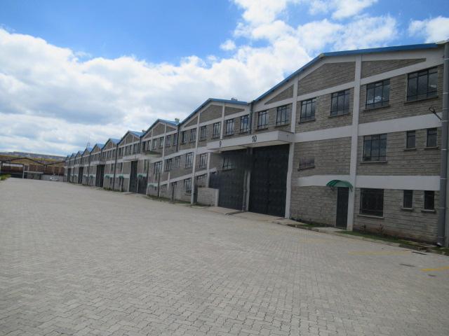 Dandora Neighbourhood Guide: Affordable Living in Nairobi’s Eastlands