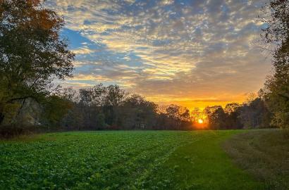 How to Verify Land Ownership in Kenya Before Buying