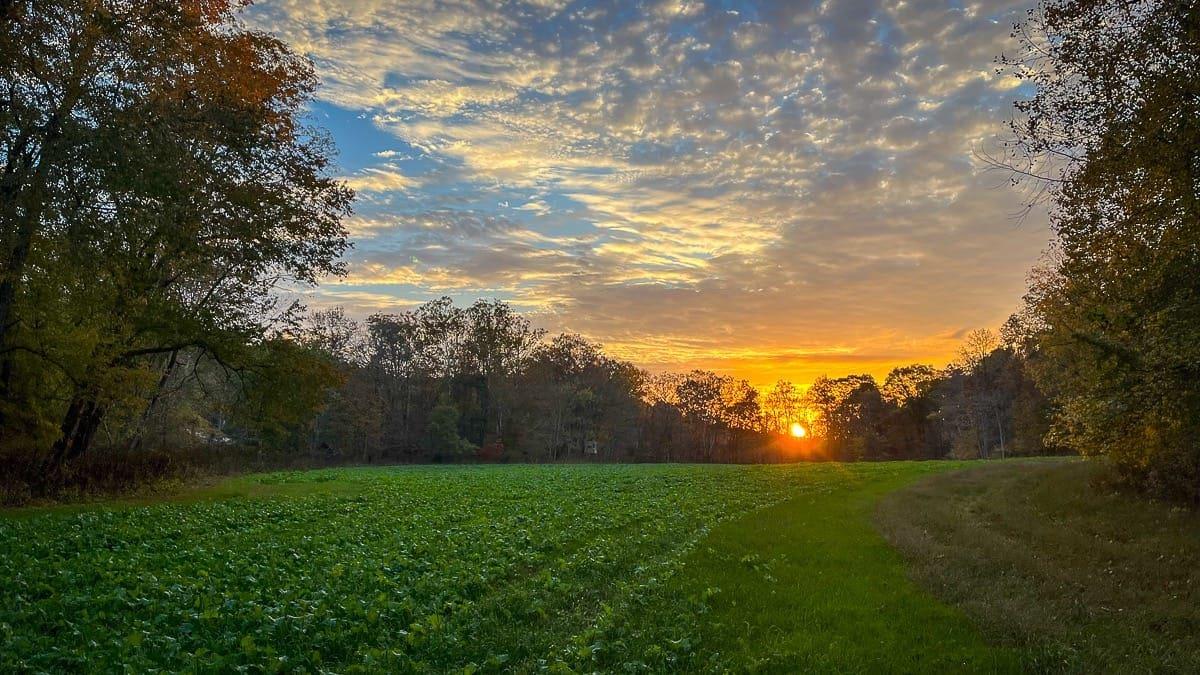 buying Land in Kenya
