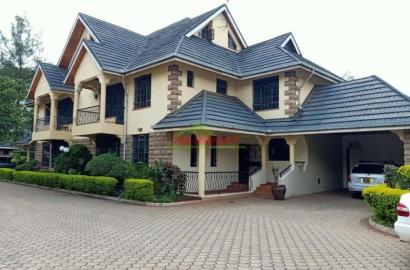 Finding the Perfect Apartments and Houses to Let in Kileleshwa