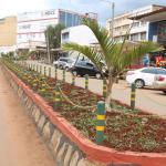 Living in Kitale: A Complete Neighbourhood Guide to the Gateway of Western Kenya