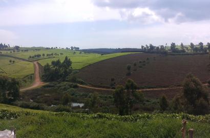 Moving to Limuru: The Complete Neighbourhood Guide