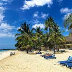 Moving to Malindi: Discover Coastal Living in Kenya’s Hidden Paradise