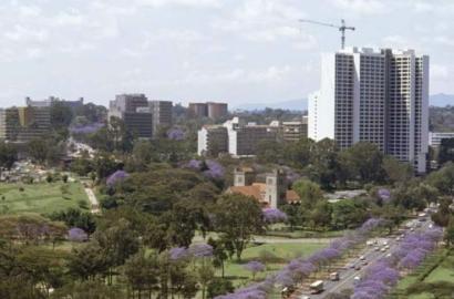 Parklands Neighborhood Guide