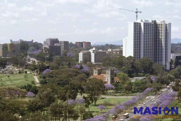 Parklands Neighborhood Guide