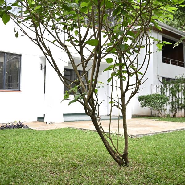 Elegant 4-Bedroom Home for Rent
