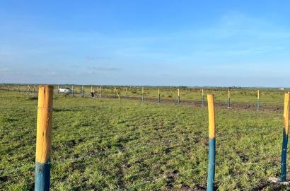 Prime 50x100 Plots for Sale in Ruiru