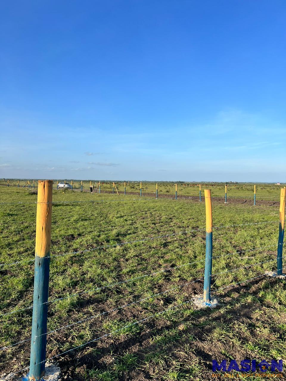 Prime 50x100 Plots for Sale in Ruiru