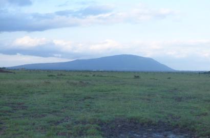 Why You Should Invest in Juja Farm: A Growing Real Estate Gem